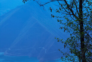 山间树影 静谧山水景致