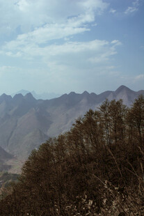 山峦与树木的自然景致