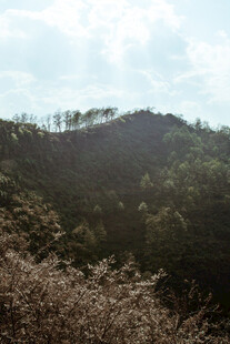 山间景色 植被繁茂