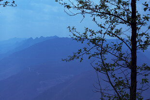 山间树影 朦胧远山景致