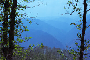 林间远眺的朦胧山色