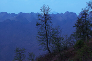 山间孤树 暮色下的静谧景致