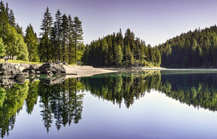 宁静湖畔森林倒影美景