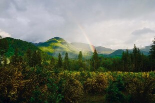 山间绿野