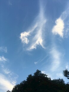 蓝天之上的梦幻云朵