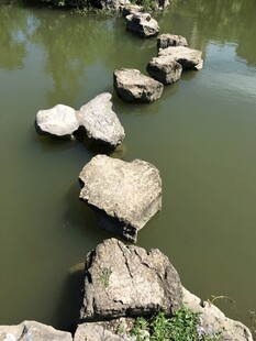 水上汀步石