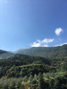 青山蓝天间的秀丽山林景色