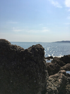 海边礁石