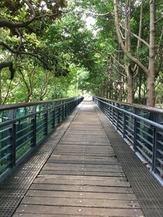林间木栈道