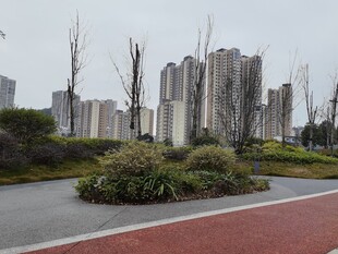 城市中的绿化景观与建筑