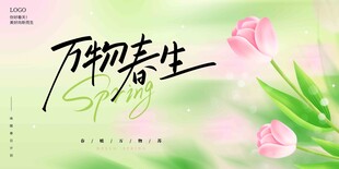 万物萌春 郁金香绽放 春天