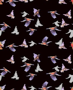 飞鸟在黑色背景上的图案