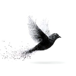 飞鸟化作粒子消散瞬间