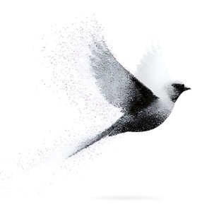 飞鸟展翅墨韵灵动瞬间