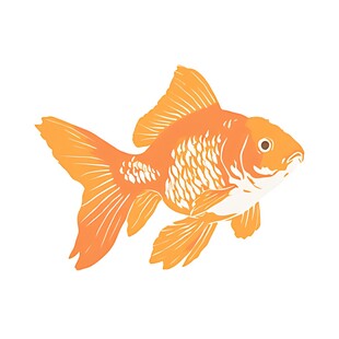 可爱橙色金鱼插画