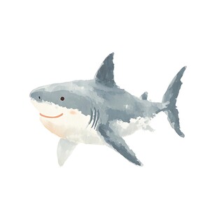 可爱鲨鱼插画