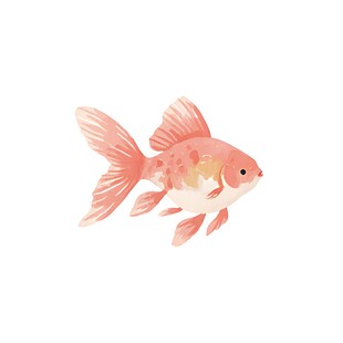 可爱金鱼插画