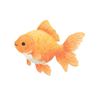 可爱金鱼插画