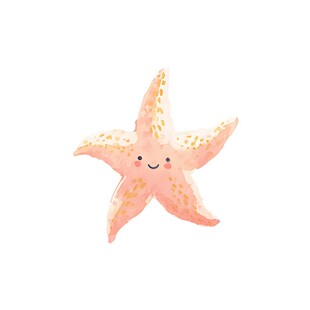 可爱海星插画