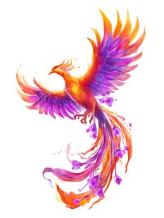 绚丽五彩凤凰展翅飞舞