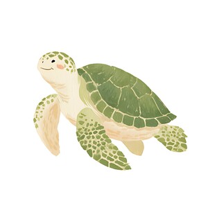 可爱海龟插画