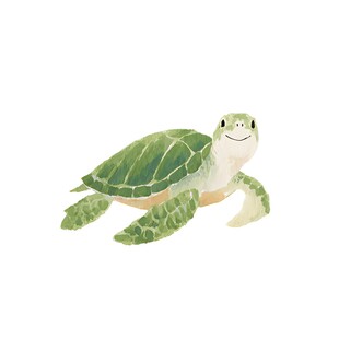 可爱绿海龟插画