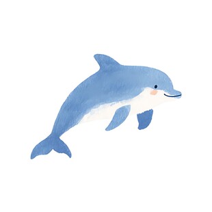 跳跃的蓝色海豚