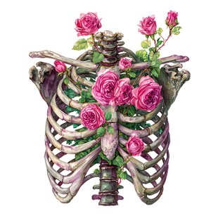 玫瑰缠绕的人体骨骼艺术