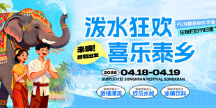 泼水节海报