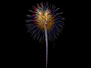 夜空中绚烂绽放的烟花