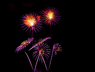 绚丽烟花绽放夜空