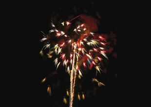 夜空中绚烂的烟花绽放