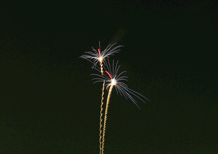 夜空中绽放的绚丽烟花
