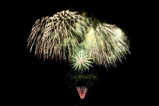 夜空中绚烂的烟花绽放