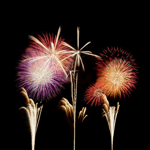 绚丽烟花绽放夜空