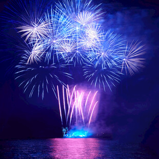 夜空中绚丽绽放的烟花