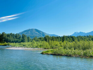 青山绿水间的宁静河岸