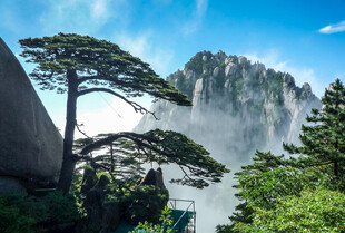 黄山奇松与壮丽山峦景观