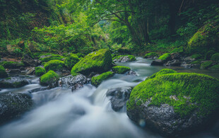山间溪流潺潺