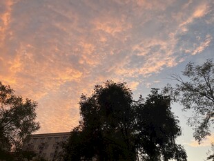 夕阳下的树木与绚丽云彩