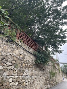 石墙边的绿植与红栏杆