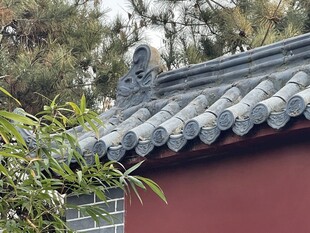 中式红墙灰瓦屋檐景致