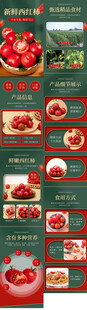 西红柿蔬菜详情页