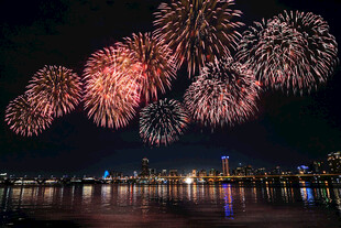 夜空中绚烂绽放的美丽烟花