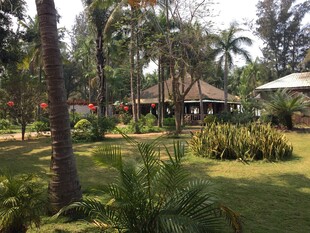 热带庭院景观绿植环绕