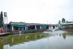 江南水乡临河民居景象