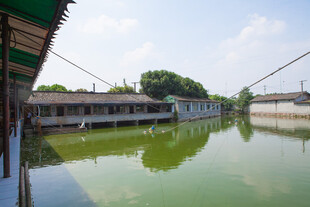 乡村宁静水塘及周边建筑