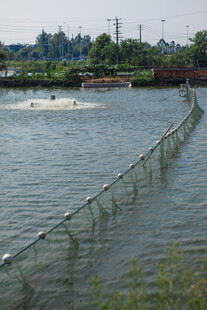 水上围栏设施 水域景象