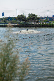 河畔水波荡漾的自然景致