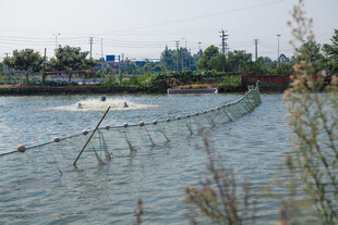 湖畔水上设施景观